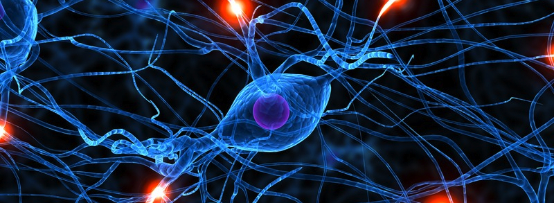 Neuropathy nerve cells horizontal