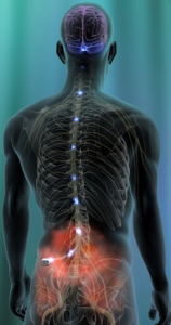 spinal cord stimulator4